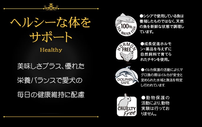 Schesir�ʥ�������/�ɥå�