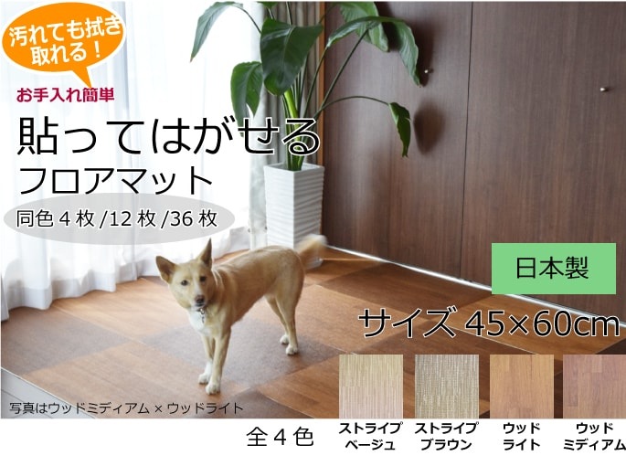 動画 はってはがせるフロアマットの上で遊ぶ犬 犬の総合情報サイト 帝塚山ハウンドカム通信