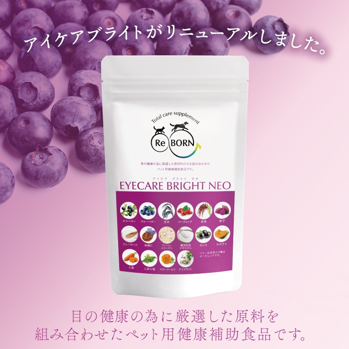 ���������֥饤��