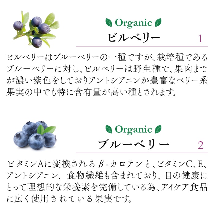 ���������֥饤��