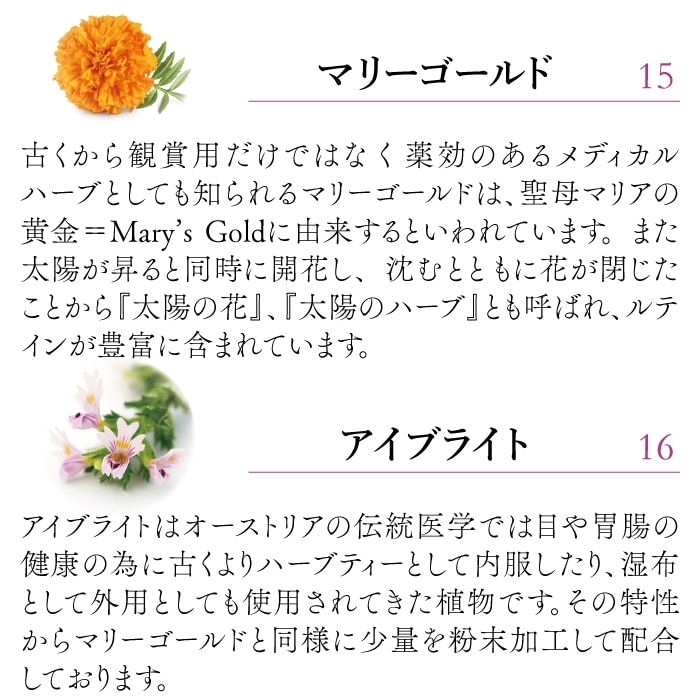 ���������֥饤��