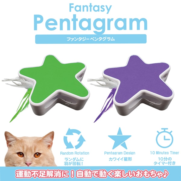 猫用おもちゃ ファンタジーペンタグラム 自動回転 猫じゃらし キャットフードの通販 帝塚山ハウンドカム