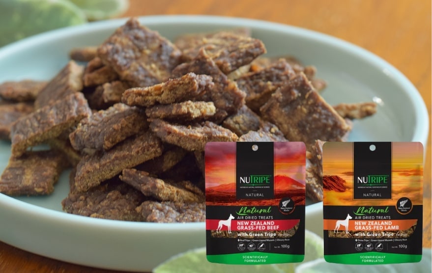 �㲹���̡����α��ܤ���̣���ݻ�