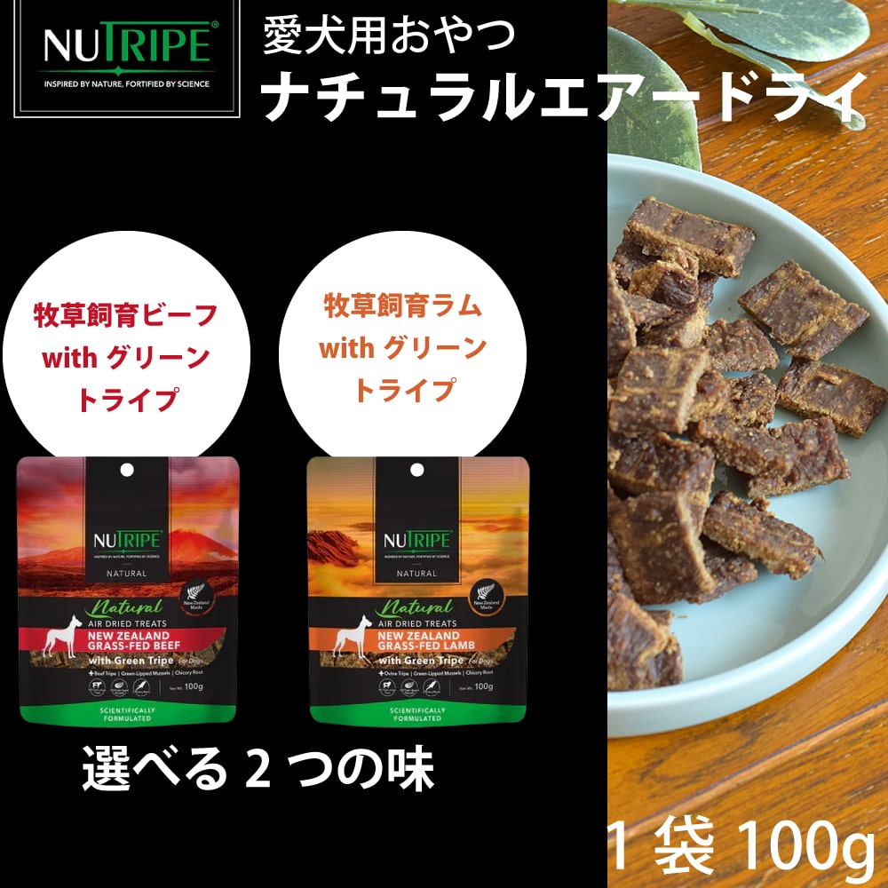 ���Ѥ���ġ��˥塼�ȥ饤�ס��ʥ����륨�����ɥ饤