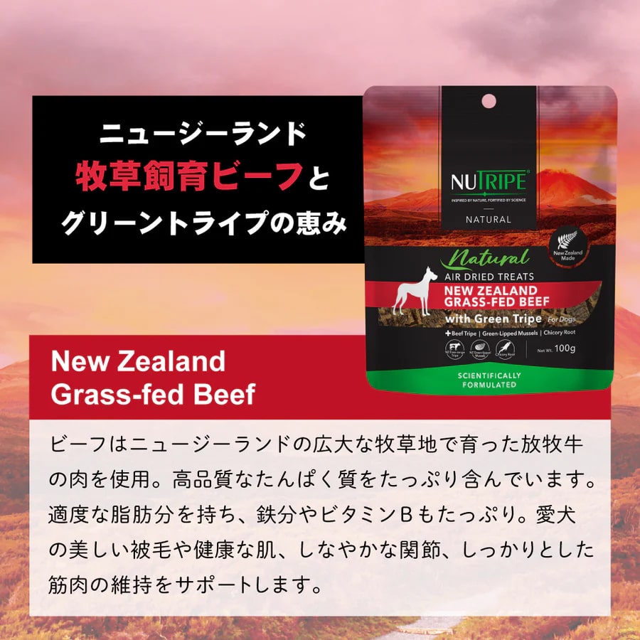 �ӡ���with���꡼��ȥ饤��