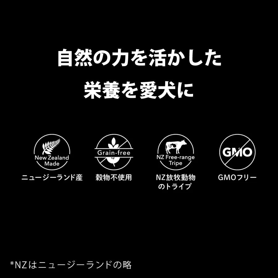 �������α���