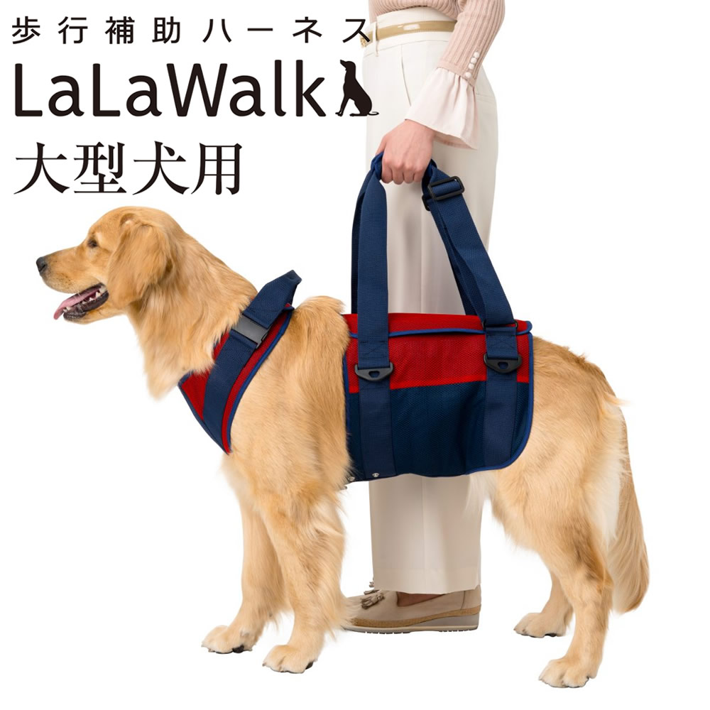 t-laz65833s_on.jpg