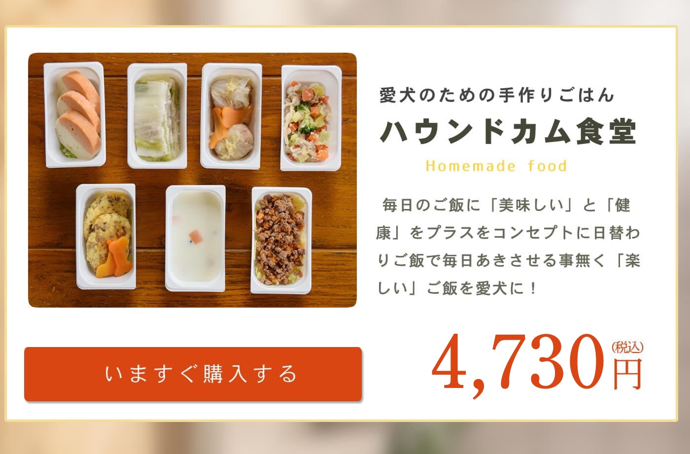 愛犬の食べない悩みに手作りごはん特集！