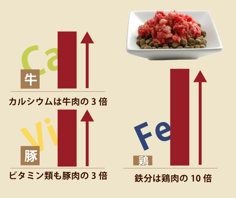 犬用生肉｜冷凍 馬肉 5kg【まとめ買い】｜帝塚山ハウンドカム