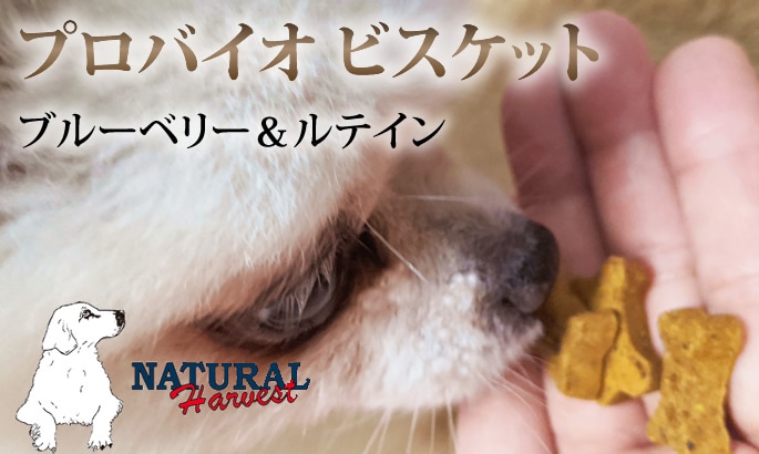 ナチュラルハーベスト 犬 おやつ プロバイオビスケット ブルーベリー ルテイン ドッグフードの通販 帝塚山ハウンドカム