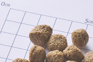 �ʥ�����ϡ��٥���  ���ƥʥ󥹡����