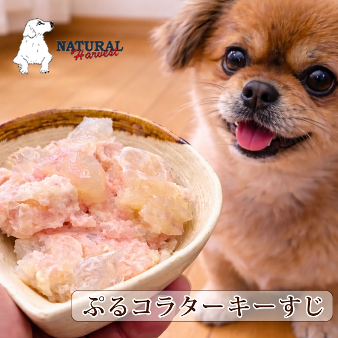 �ʥ�����ϡ��٥��� ��ȥ�ȡ��פ륳�饿����������