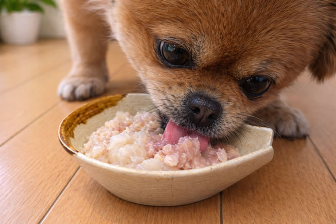 �����Τ���Ρ��ᰭ�������ζ˾��Ǻ��ȥ��