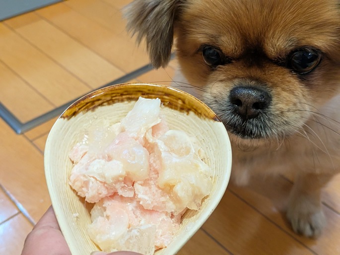 �Ȥ��餫�����饷�˥������Ҹ��ˤ����Ӥ䤹��