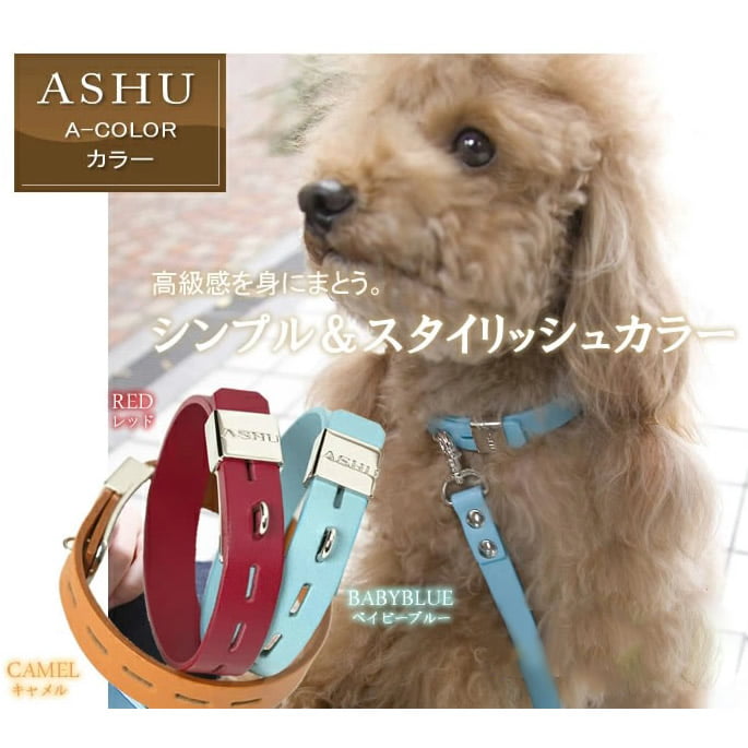 ASHU A-COLOR ���顼