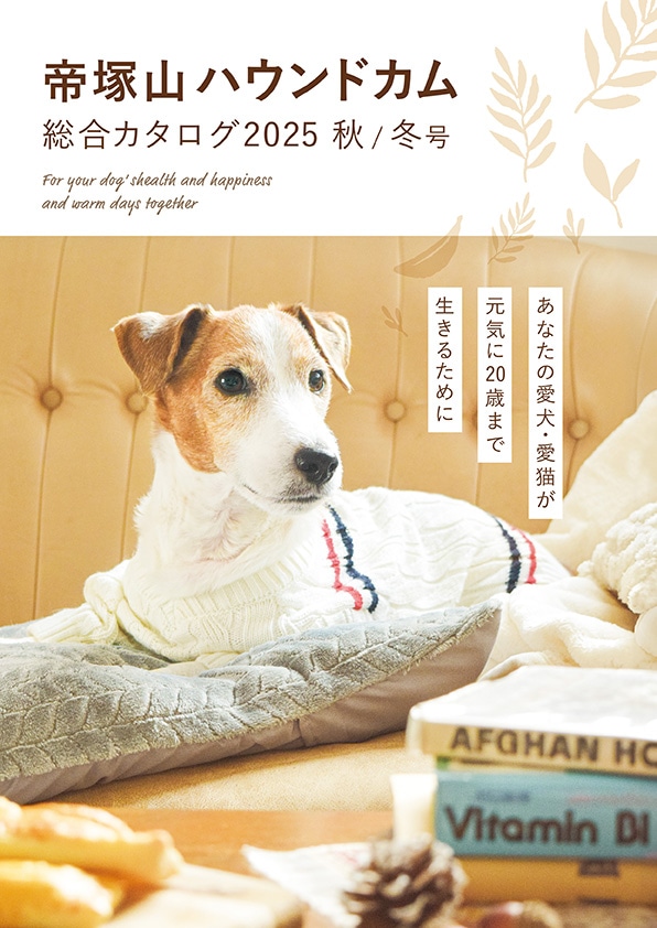 ���ͻ��ϥ���ɥ��ࡡ���祫������