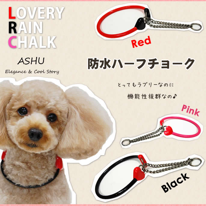 ASHU ��֥꡼�쥤�� �ϡ��ե��硼��