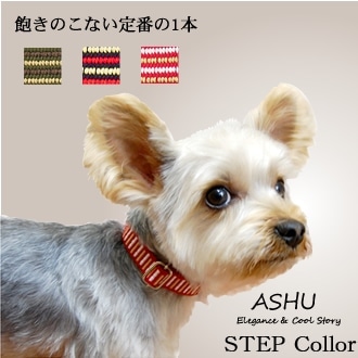 ASHU STEP ƥå 顼