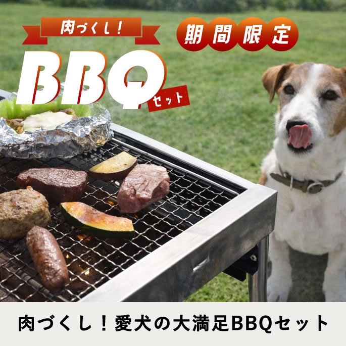 ���Ť�����BBQ���å�