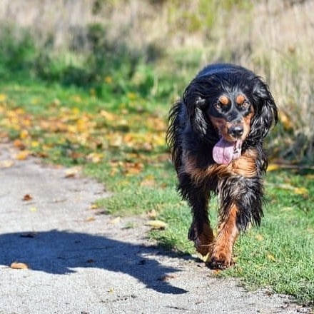 ̣�Ф��Ѥ�� ����ư��١�