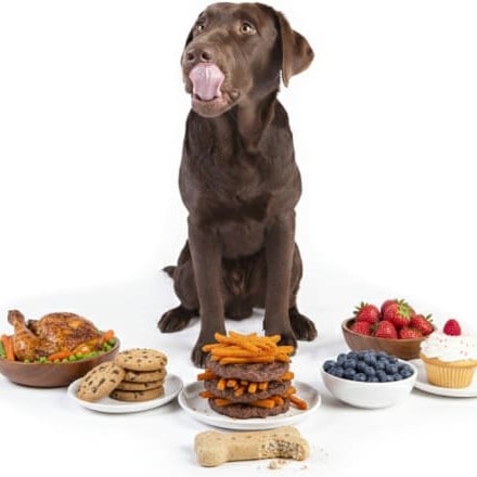 ����̣�Ͼò�����礹��