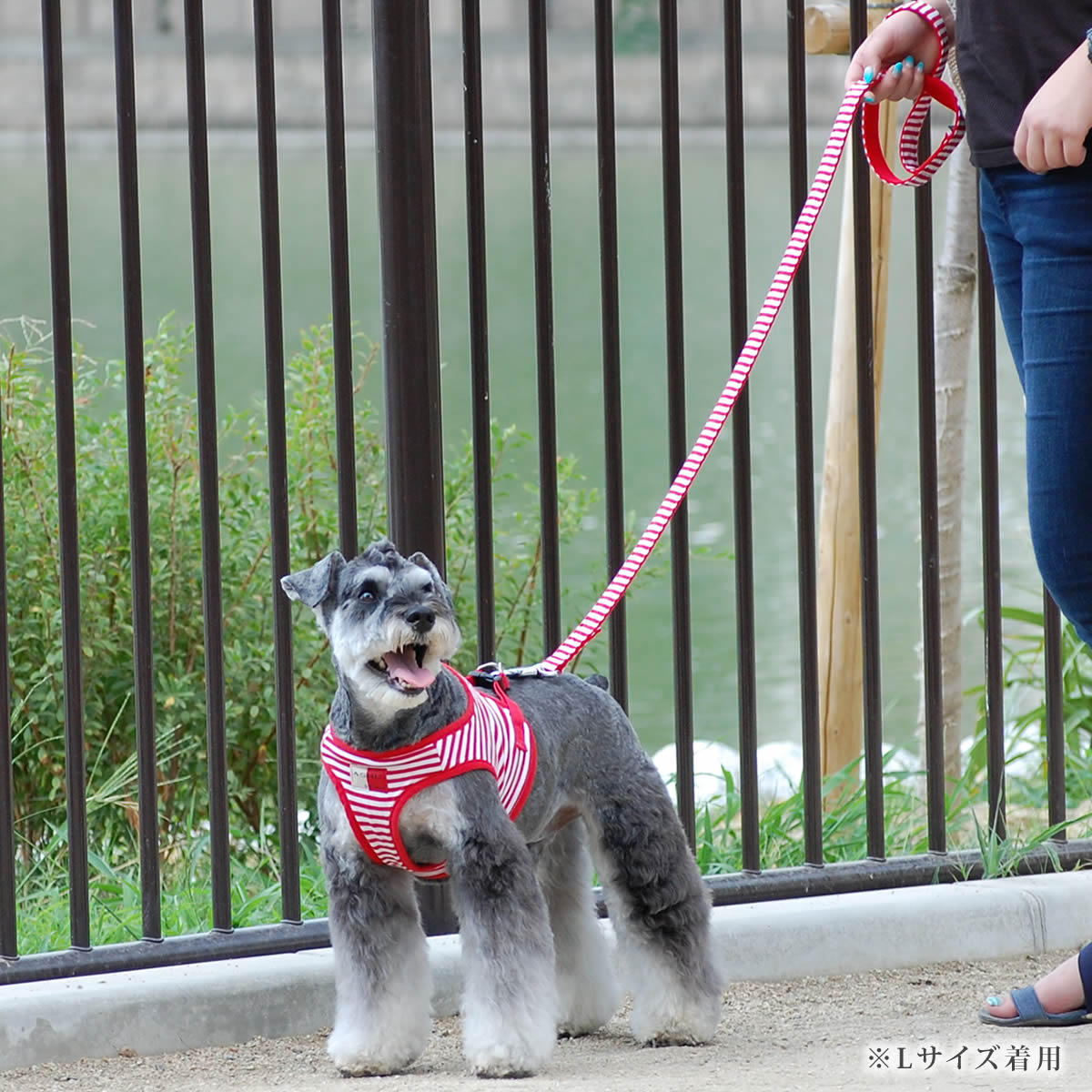 ASHU �������ϡ��ͥ� �ܡ����� �꡼��