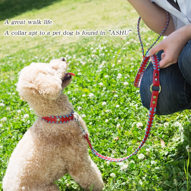 ASHU �����ɥ롼�ץ쥶�� �꡼��