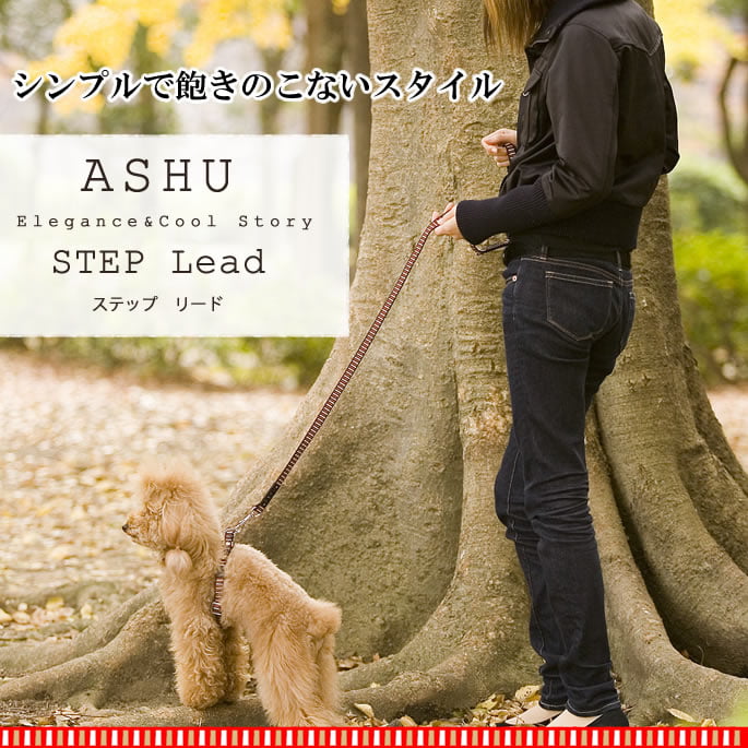 ASHU STEP ƥå ꡼ S