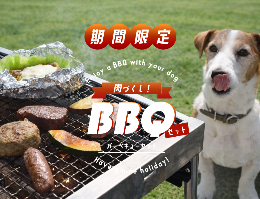 ���������Ť���BBQ���å�