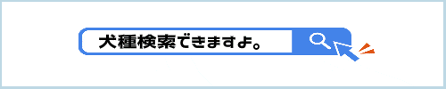 犬種で検索