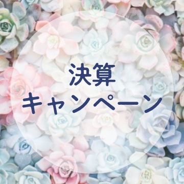 決算キャンペーン