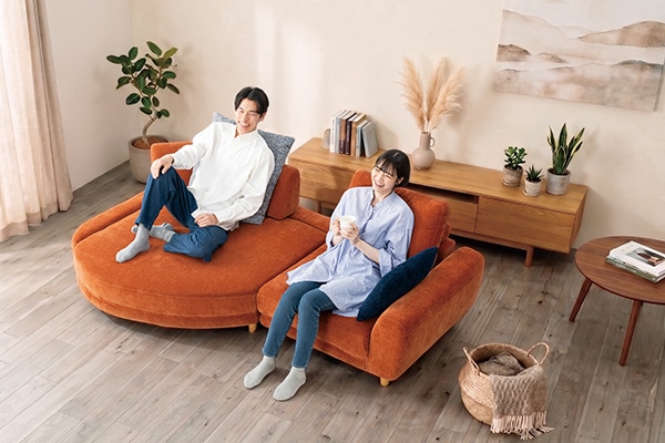 インテリア ソファ ZAG NSL18ベース NM/HD SD5/MLBK+IB8 SD4+IOB7 SD4【大型商品