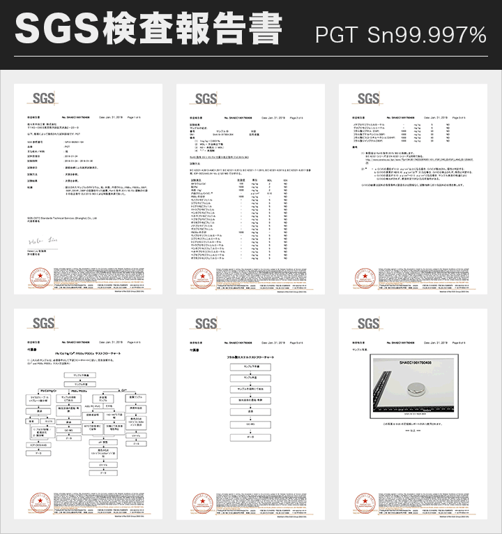SGS PGT 検査報告書を見る
