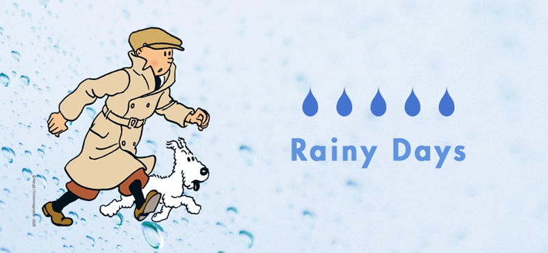 2026雨の日特集