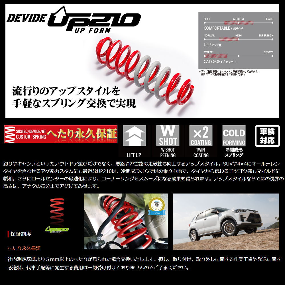 TANABE タナベ カスタムスプリング DEVIDE UP210 ディバイド アップ