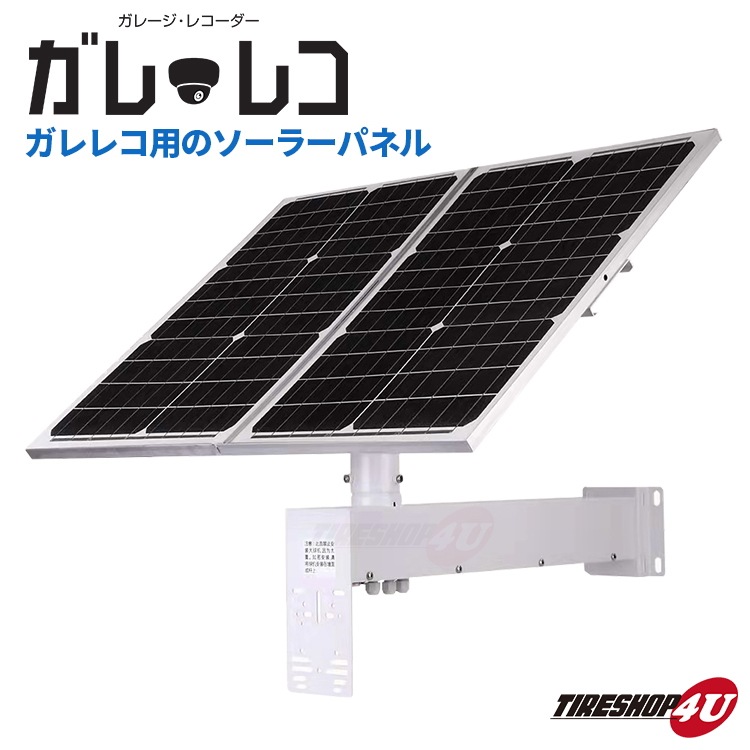 14646円 新規購入 フレーミング EX-2121G1 SD ガレレコ 屋外用ドーム型防水カメラ 駐車