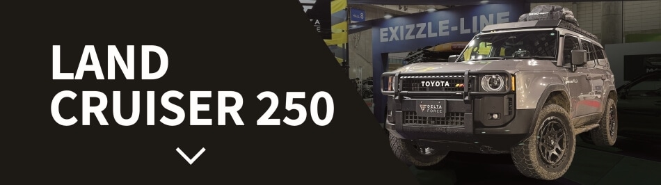 LAND CRUISER 250