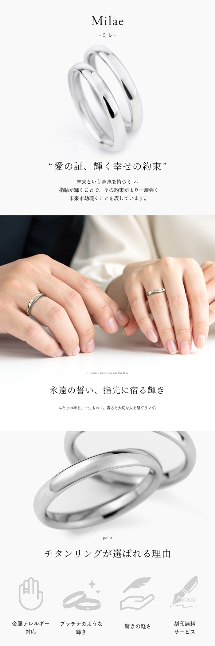 °륮ˤ⶯ 륮ե꡼  ޥå 