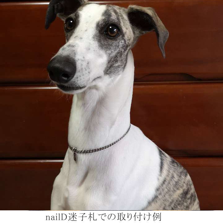 商品画像2