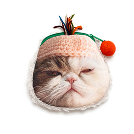 やっぱり猫が好き 宝島チャンネル