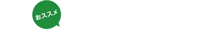  HOLIDAY COLLECTION