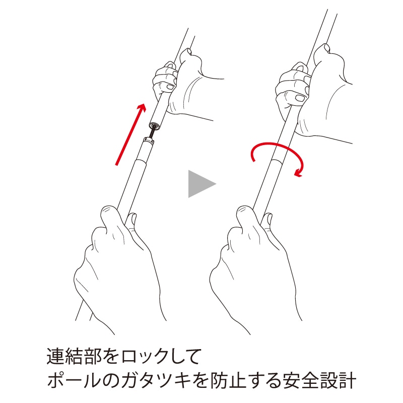 WH1181 ＤＦＰポータブルセクター２ 2本組（ノルディック・ウォーク用