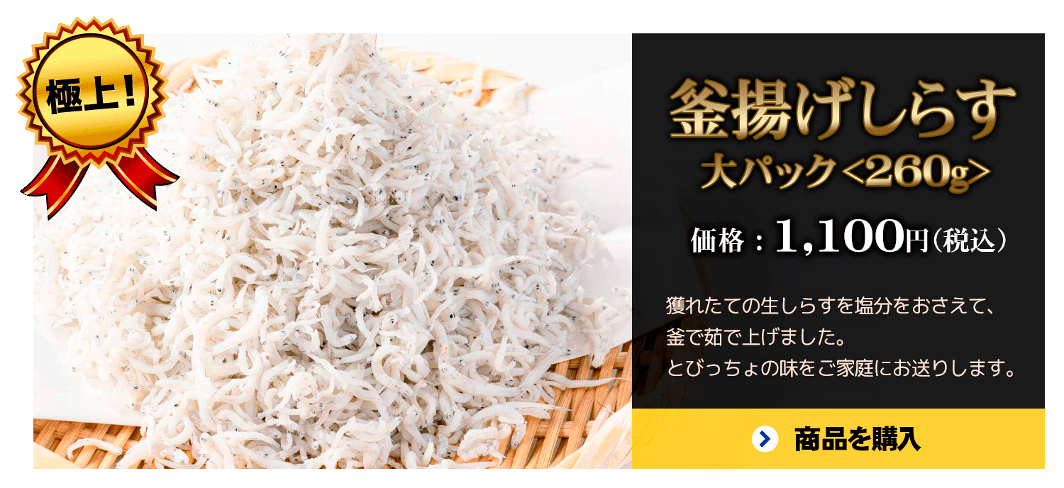 しらす | しらす問屋とびっちょ|オンラインショップ しらす | しらす問屋とびっちょ|オンラインショップ