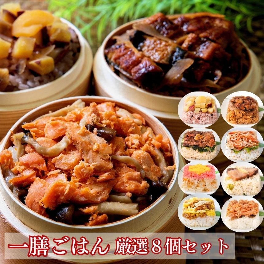 一膳ごはん 厳選8個セット 九州のお米 佐賀県産米 熟成米使用 冷凍ご飯 おいしい冷凍ご飯 おとりよせ 九州グルメ ギフト 贈答 一粒庵 唐房米穀 佐賀