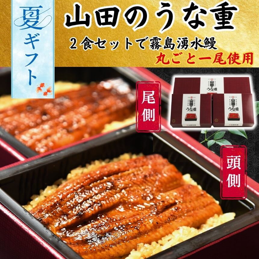 うな重 九州のうなぎ 鹿児島県産　うなぎ 霧島湧水鰻重 冷凍ご飯 おいしい冷凍ご飯 おとりよせ 九州グルメ ギフト 贈答 一粒庵 唐房米穀 佐賀