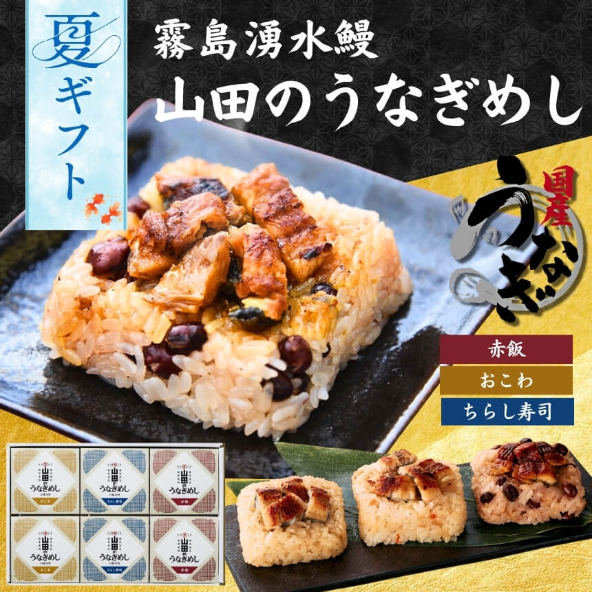 うな重 九州のうなぎ 鹿児島県産　うなぎ 霧島湧水鰻重 冷凍ご飯 おいしい冷凍ご飯 おとりよせ 九州グルメ ギフト 贈答 一粒庵 唐房米穀 佐賀