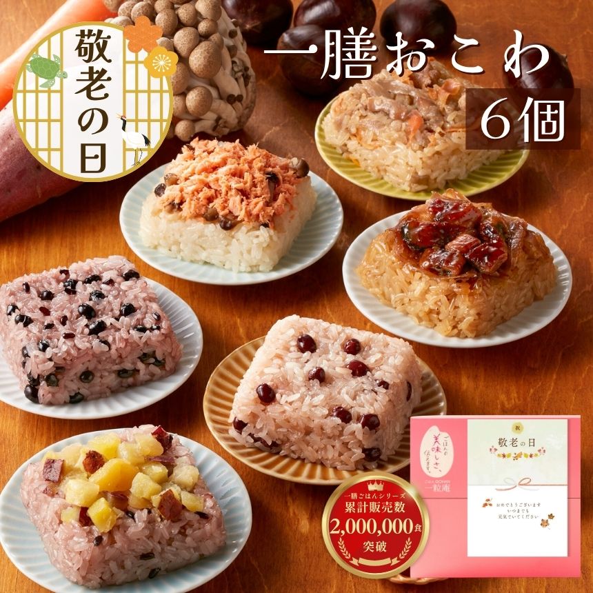 一膳おこわ 6個セット 佐賀県産ヒヨクモチ100％ 冷凍ご飯 おいしい冷凍ご飯 おとりよせ 九州グルメ ギフト 贈答 一粒庵 唐房米穀 佐賀