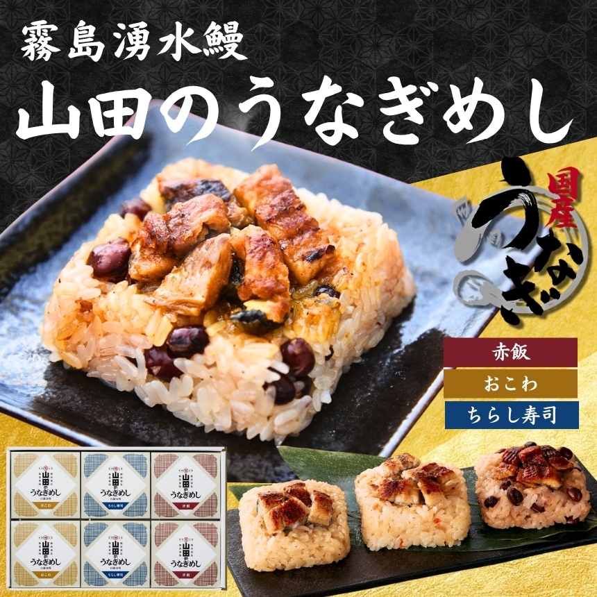 うな重 九州のうなぎ 鹿児島県産　うなぎ 霧島湧水鰻重 冷凍ご飯 おいしい冷凍ご飯 おとりよせ 九州グルメ ギフト 贈答 一粒庵 唐房米穀 佐賀
