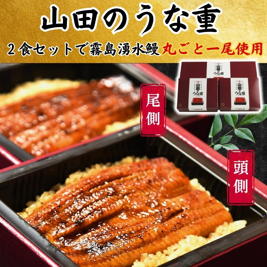 うな重 九州のうなぎ 鹿児島県産　うなぎ 霧島湧水鰻重 冷凍ご飯 おいしい冷凍ご飯 おとりよせ 九州グルメ ギフト 贈答 一粒庵 唐房米穀 佐賀