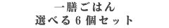 一膳ごはん選べる6個セット